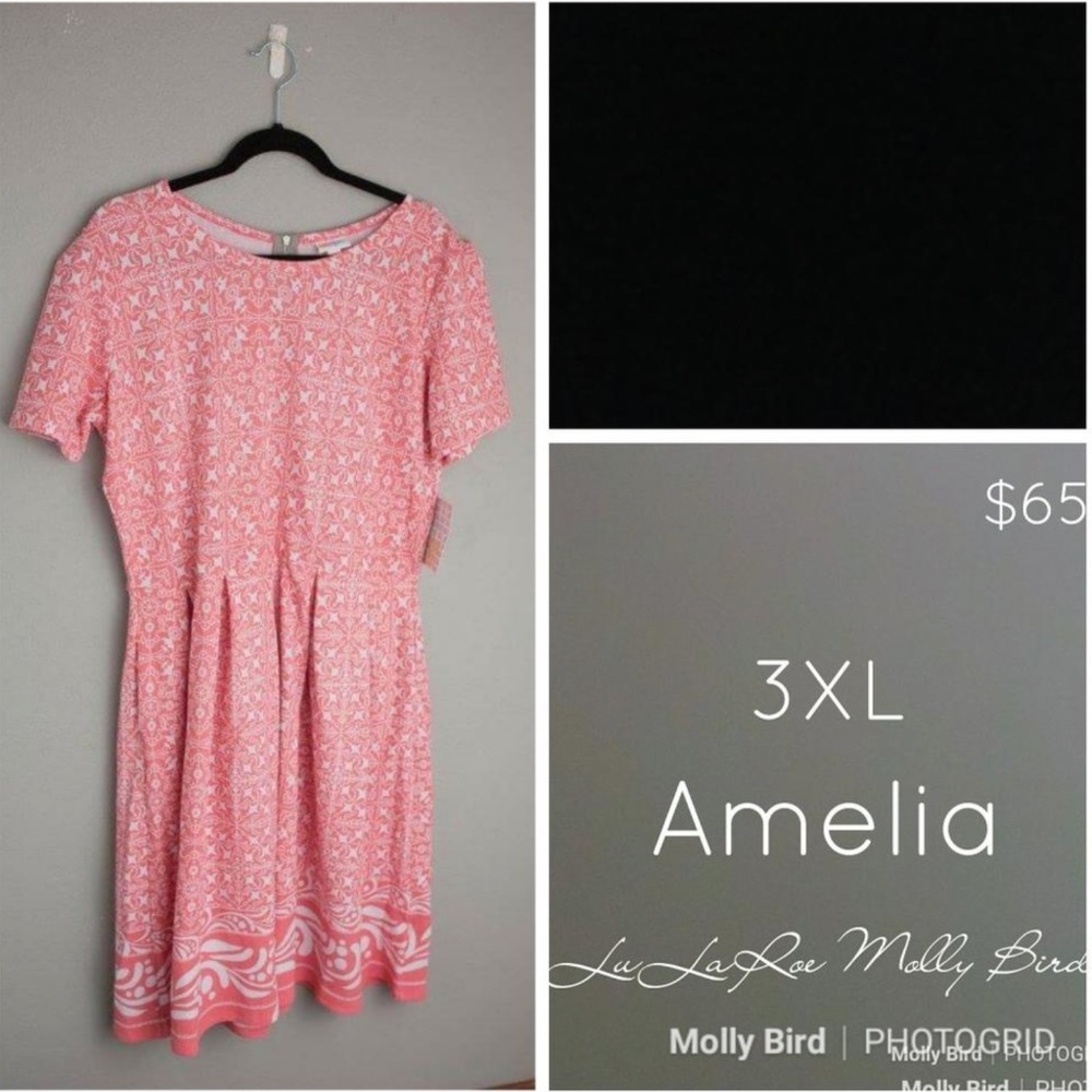 LLR Amelia 3XL